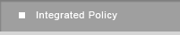 Integrated Policy