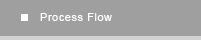 Process Flow